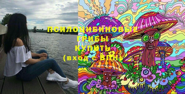 дживик Горнозаводск