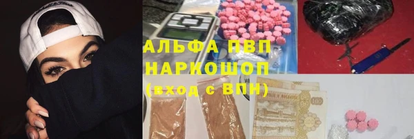 прущие крисы Вязьма
