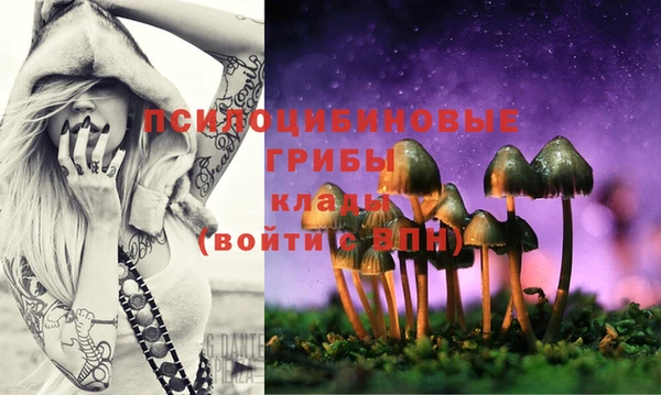 прущие крисы Вязьма