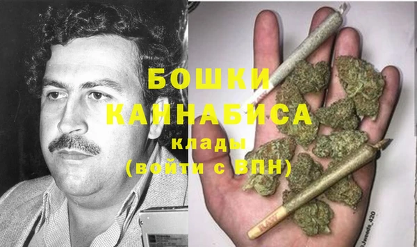 ALPHA PVP Вяземский