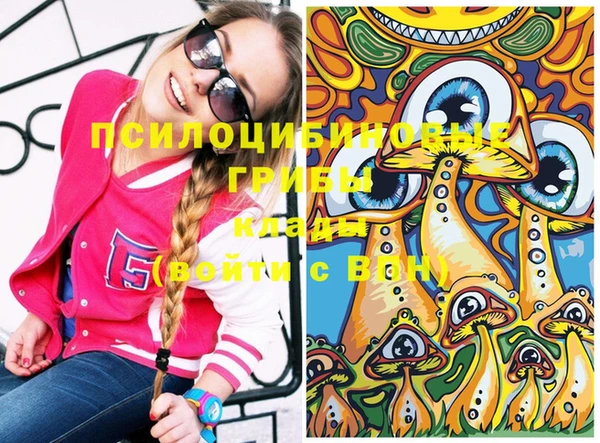 СК Вязники