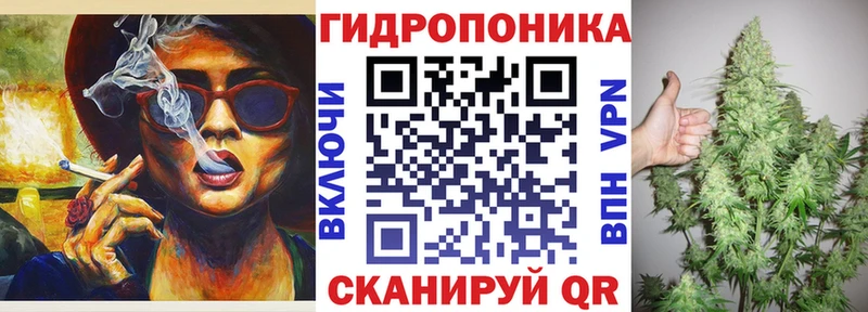 Бошки Шишки индика  где купить наркоту  Шагонар 